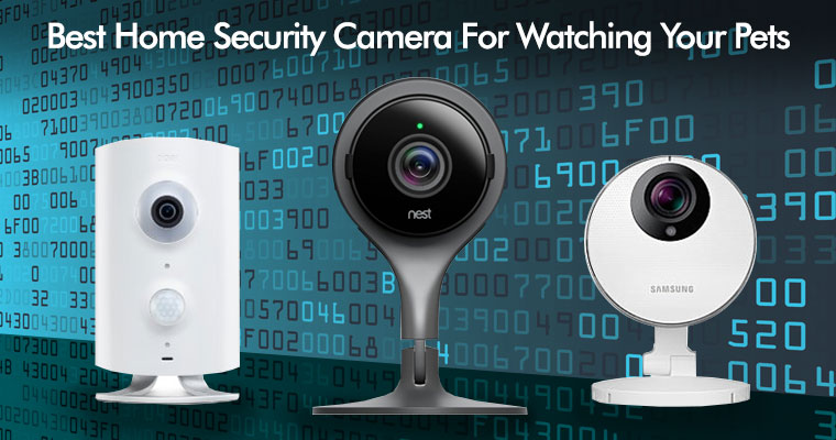 Home Security for Pets