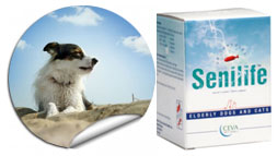 Ceva Sante Animale Senilife