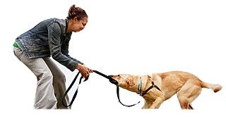 Share an Activity Together