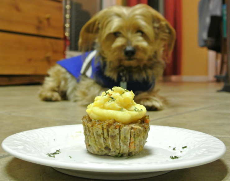 Kirby and the Shepherd's Pie