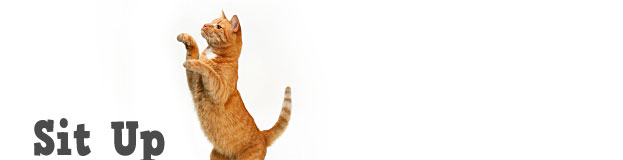 Sit Up Trick