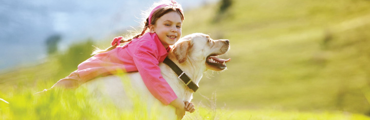 Supplements for pets with hip and joint problems