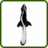 skunk