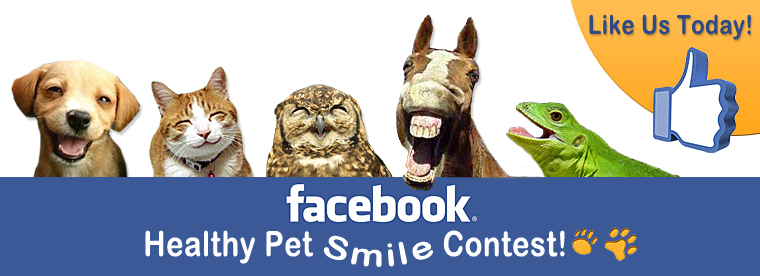 Facebook Pet Smile Contest!