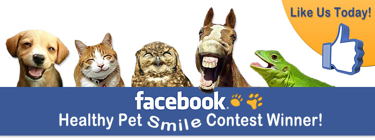 Facebook Pet Smile Contest Winner!