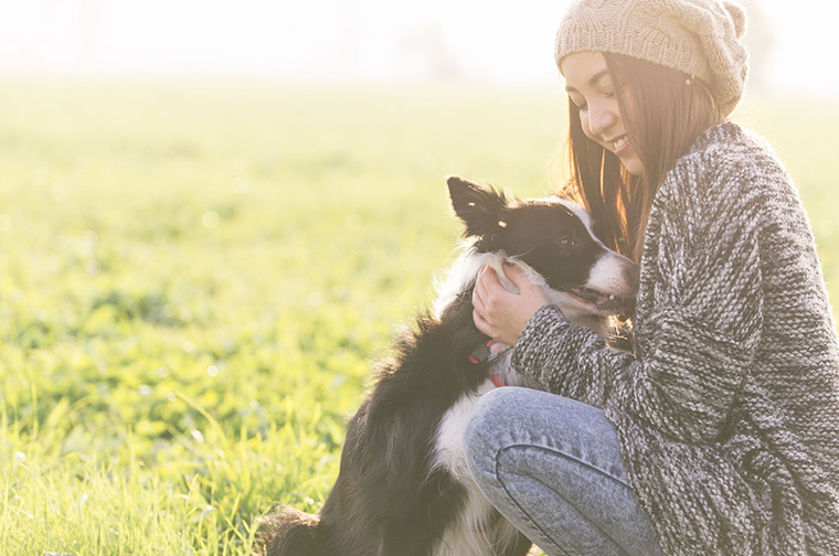 10 Wonderfully Organic Pet Items
