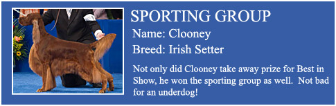 Sporting Group