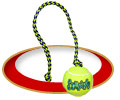 Squeaker Ball