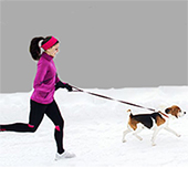 Stay Active with Your Pet!