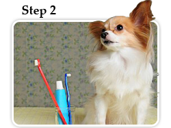 Home dental care regimen