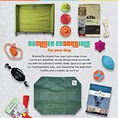  Summer Dog Essentials