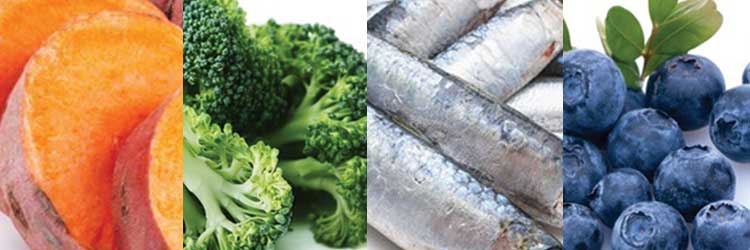 Supplements for pets with hip and jnt problems