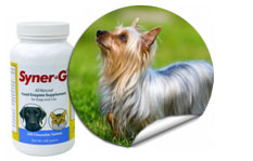 Syner-G ®