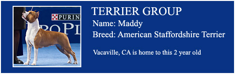 Terrier Group