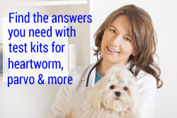 Find the answers you need with test kits for heartworm, parvo & more.