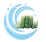 Tetra Water Wonders FW Plant Hairgrass 9”