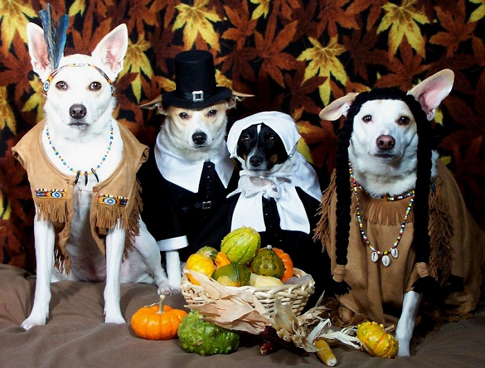 Thanksgiving Dogs