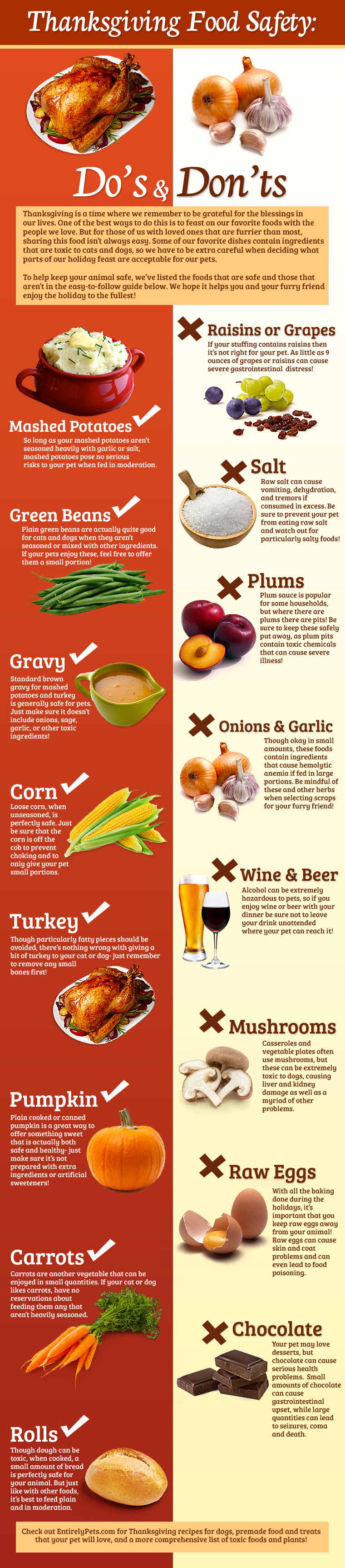 Thanksgiving Infographic