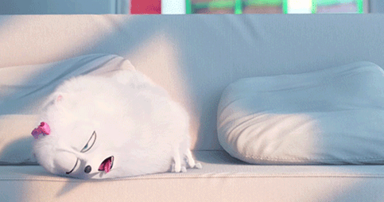 he Secret Life Of Pets