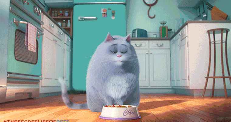 he Secret Life Of Pets