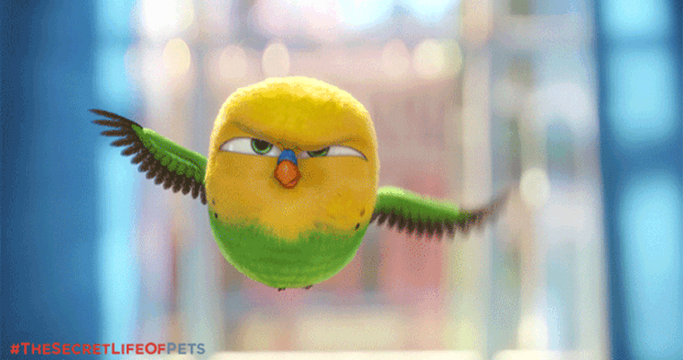 he Secret Life Of Pets