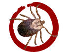Kills Ticks