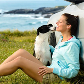 link to Tips For Traveling With Pets