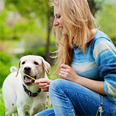 link to Tips to Adopt Your New Pet