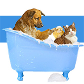 link to Top 10 Bath Products