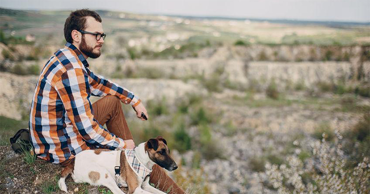 Top 10 Dog Friendly National Parks