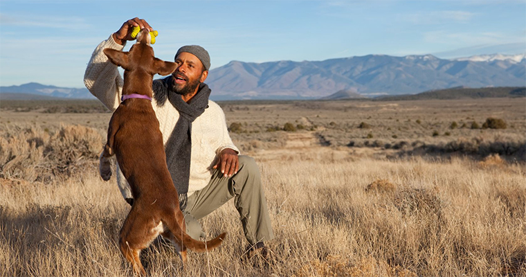 Top 10 Places to Take Your Pet on the West Coast