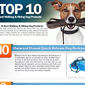 link to Top 10 Best Walking & Hiking Dog Products
