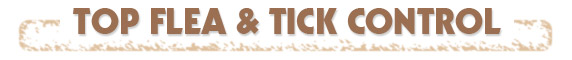 Flea & Tick Control