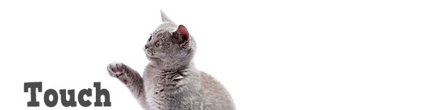 Touch Trick