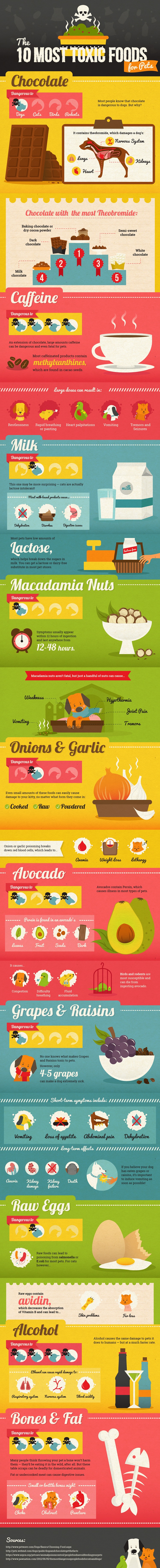 Toxic Foods for Pets Infographic