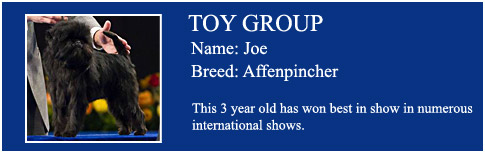 Toy Group