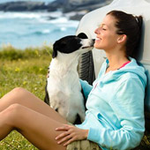 link to Flea, Tick & Heartworm Prevention