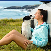 link to How to Cut Down on Household Allergies