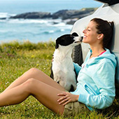 link toTop 12 Most Loyal Dog Breeds