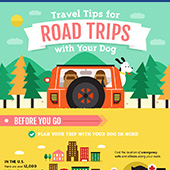 link to My Dog has Fleas: How Do I Get Rid Of Them?