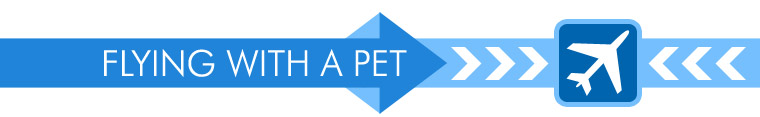 Flying with a Pet