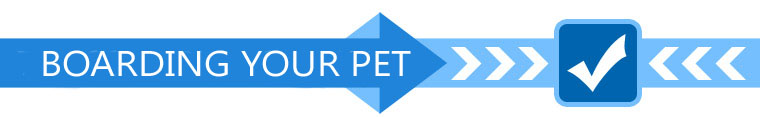 Flying with a Pet