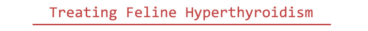 Treating Hyperthyroidism