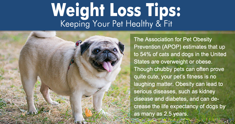 Weight Loss Tips