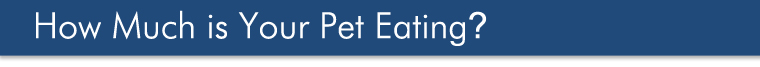 How Much is Your Pet Eating?