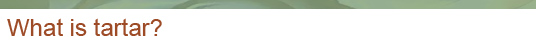 tartar?