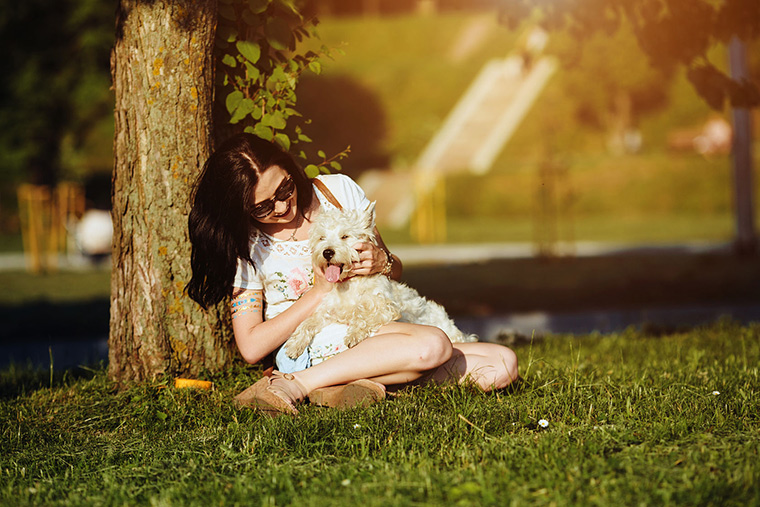 animal therapy