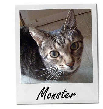 Monster?