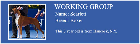 Working Group