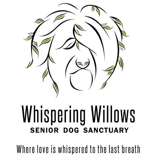 charity-logo